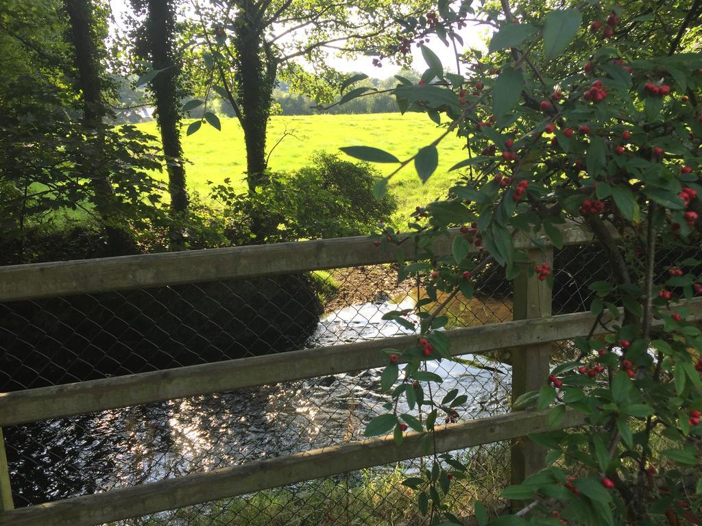 Riverbank, Country Pub And Guesthouse 카리크마크로스 외부 사진